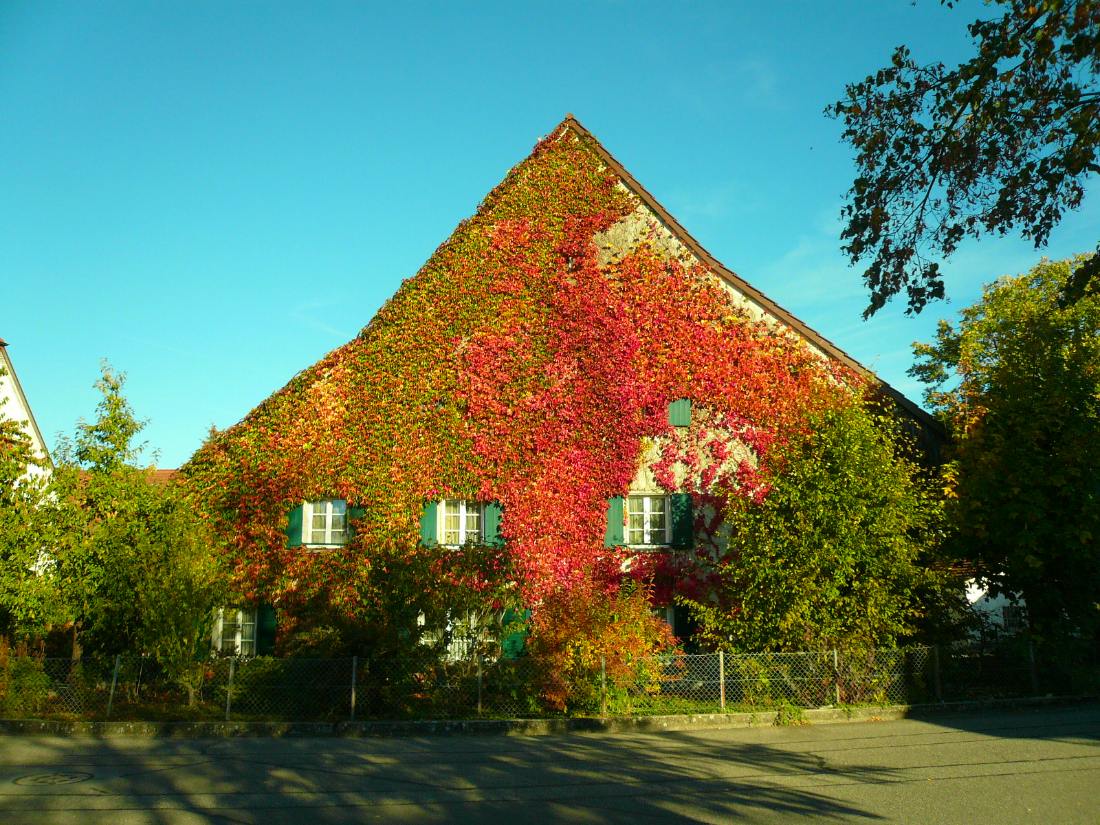 Wallbach AG, Bauernhaus im Herbstgewand